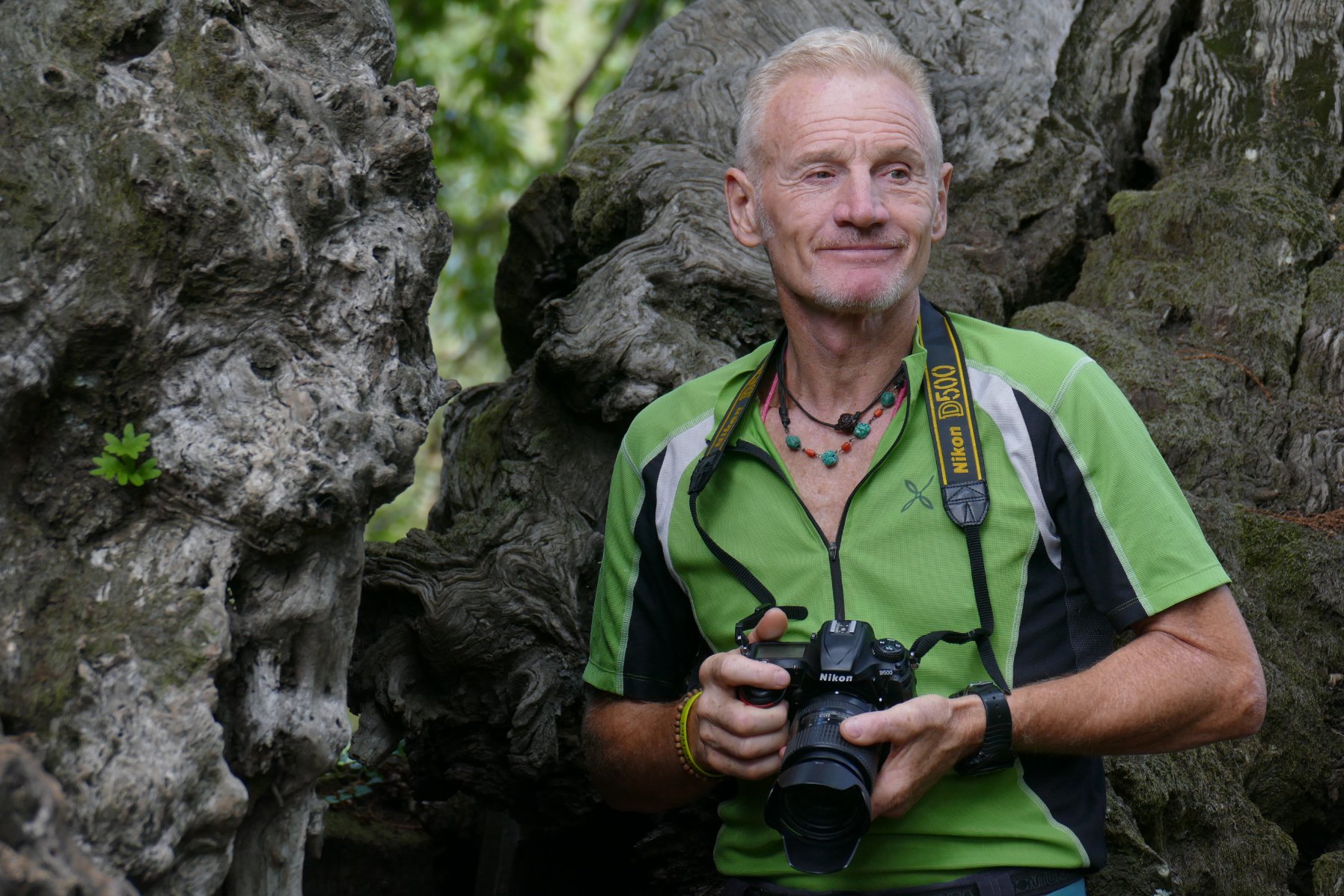 DIALOGO CON GLI ALBERI